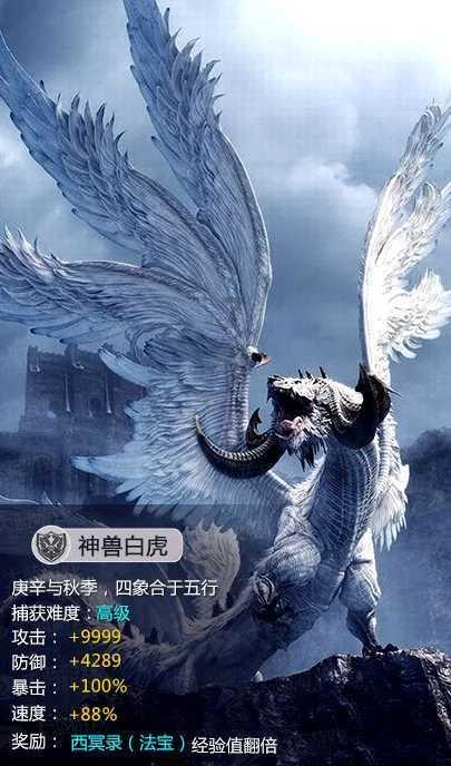 手机的自动拍摄模式如何设置？自动拍摄模式能拍摄晚上的月亮吗？游戏画面